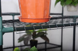 Greenhouse