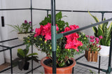 Greenhouse