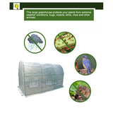 6m x 3m x 2m Strong Tunnel Greenhouses Galvanised Frame