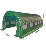 6m x 3m x 2m Strong Tunnel Greenhouses Galvanised Frame