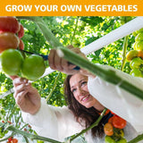 3m x 2m x 2m Tunnel Greenhouses Strong Galvanised Frame